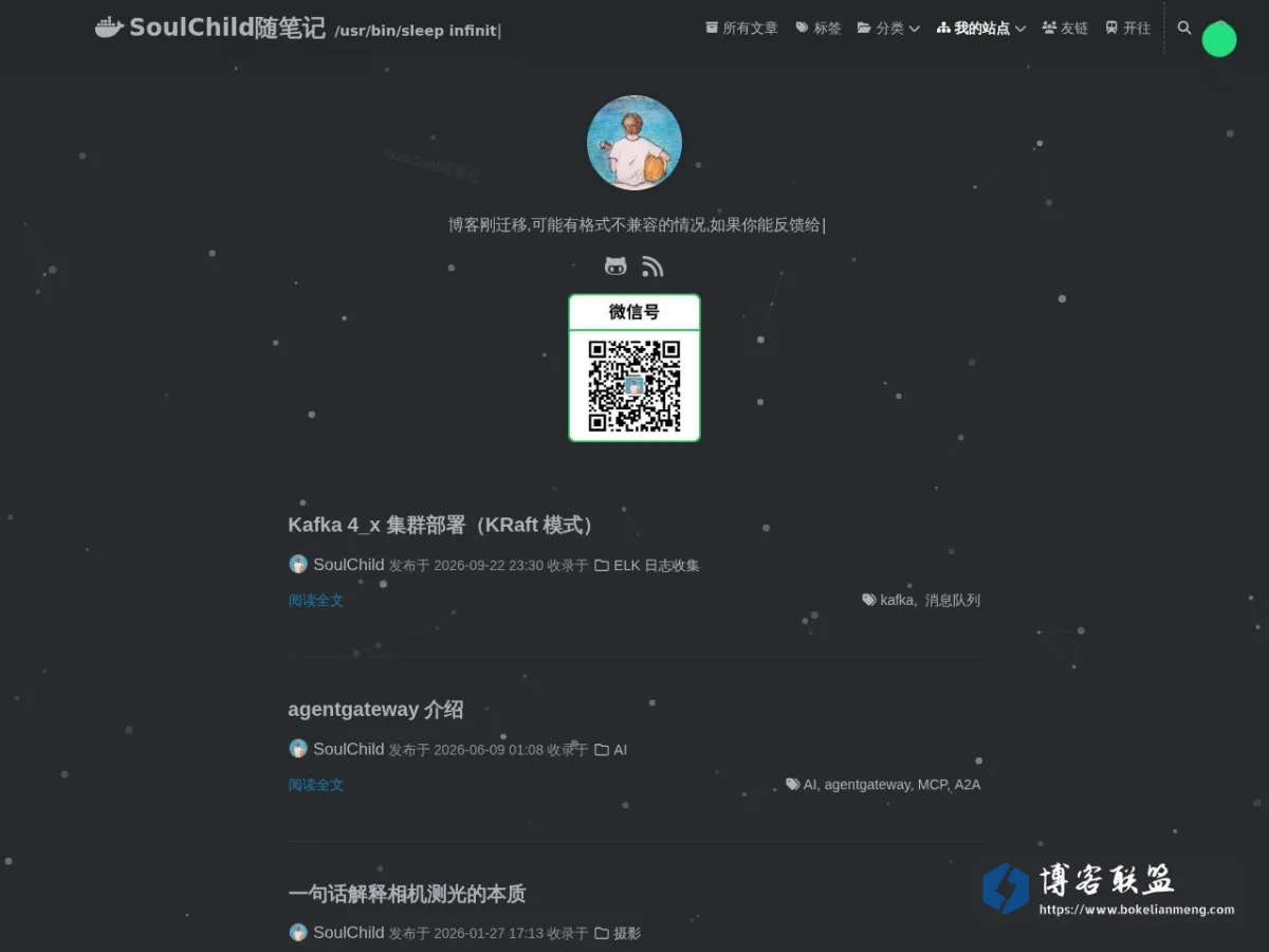 SoulChild 随笔记 的网站快照