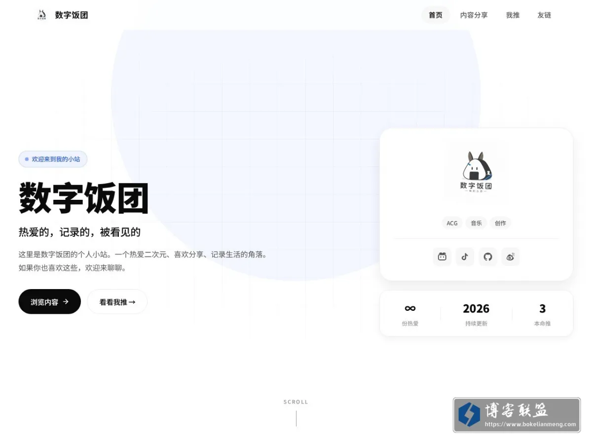 数字饭团 - 二次元战略指挥中心 的网站快照