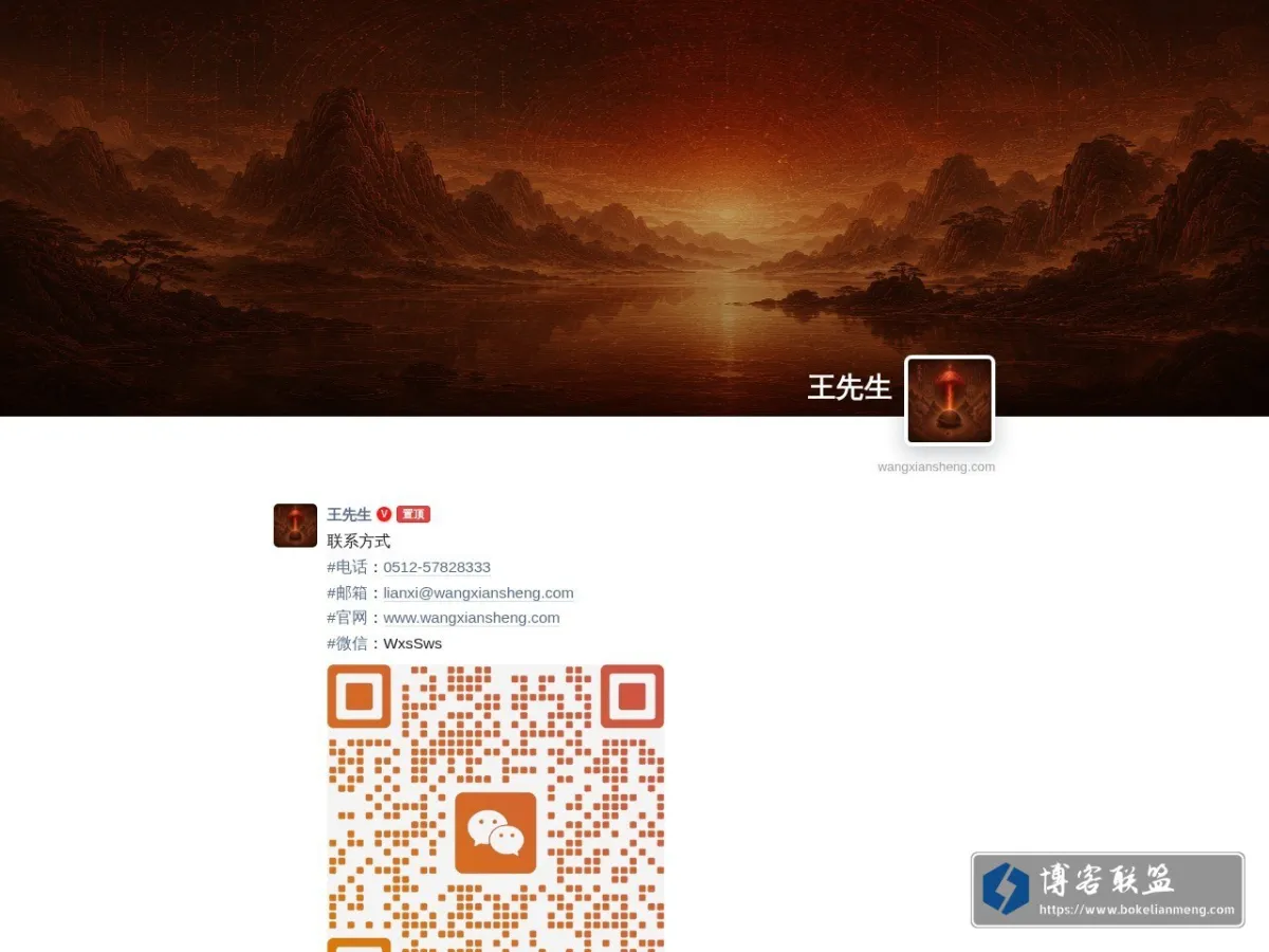 王先生 的网站快照