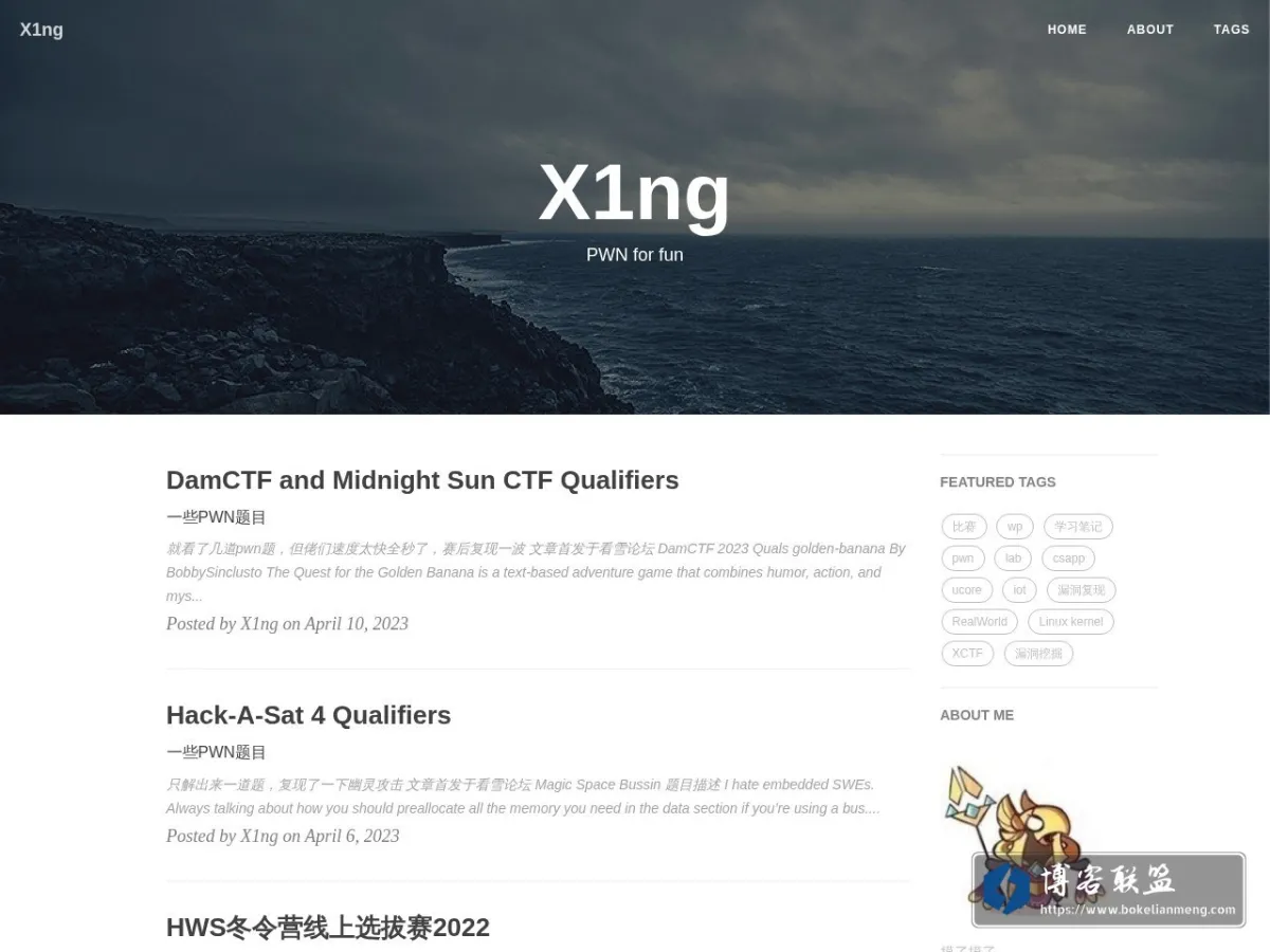 X1ng's Blog 的网站快照