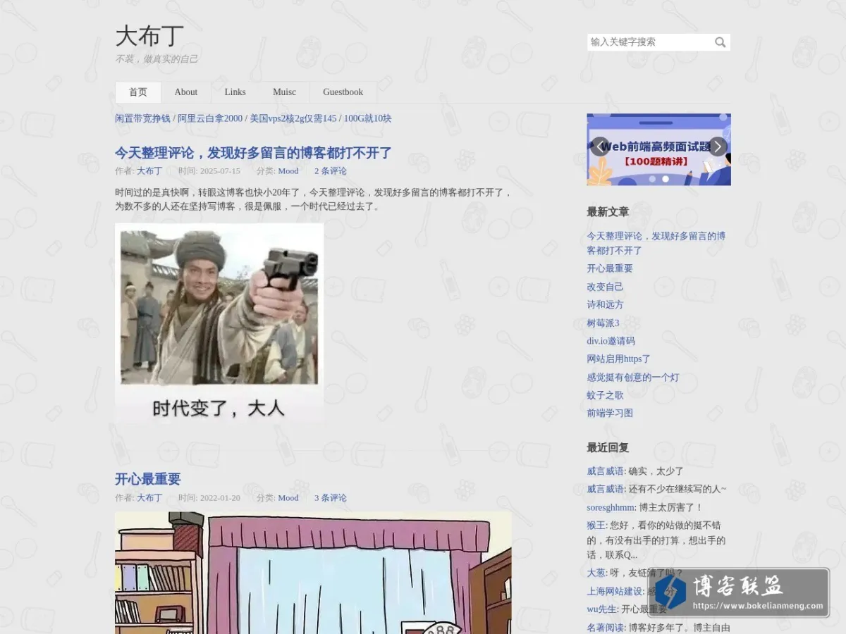 大布丁 的网站快照