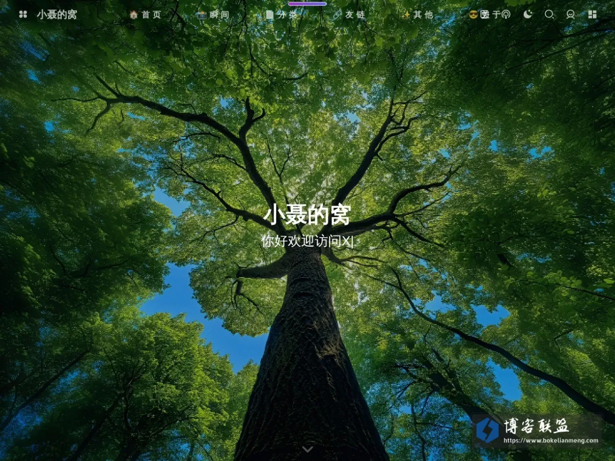 小聂的窝 的网站快照