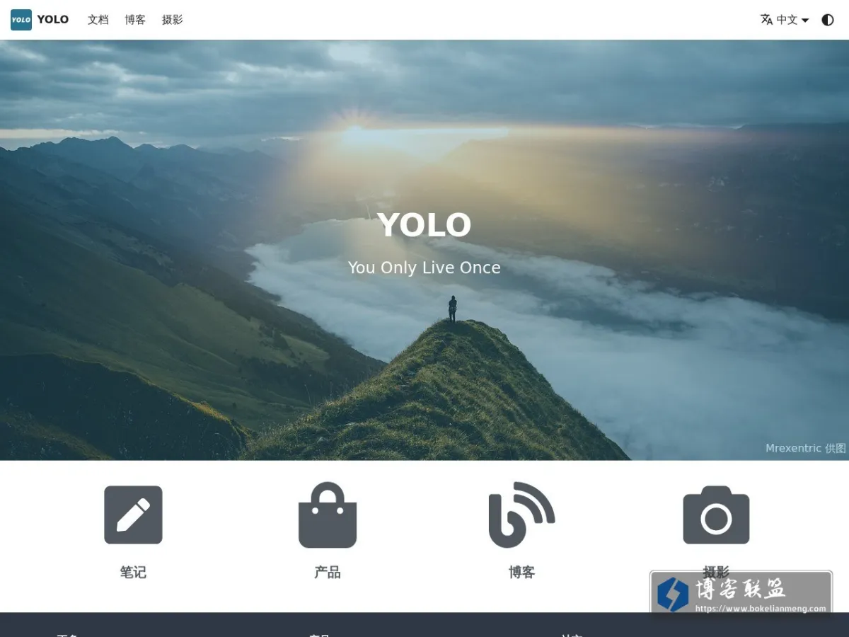 YOLO 的网站快照