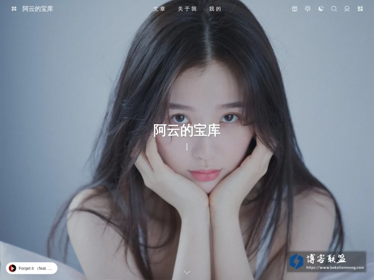 阿云的宝库 的网站快照