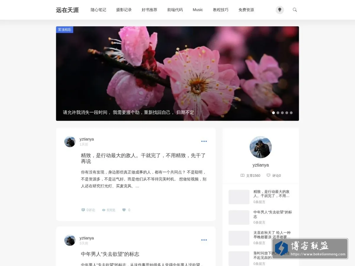 yztianya.com 的网站快照