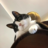 Ben'sBlog