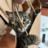 owl's Blog