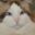 猫猫的博客