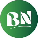 BlogNews For Elementor