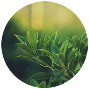 Hui-Shao's Blog