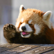 偶然时刻