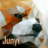 Junyi’s Lab - AI 系统、TPU 与工程笔记