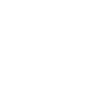 Notas sobre el ahora - Ouroboros lab