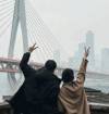 飘零网