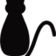 风来自远方