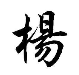 www.yangsihan.com