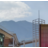 草祭